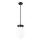 Z-Lite Gideon Pendant, 1-Light, 10 In.W x 14.5 In.H, Matte Black/Etched Opal 1945P9-MB - alternate 8